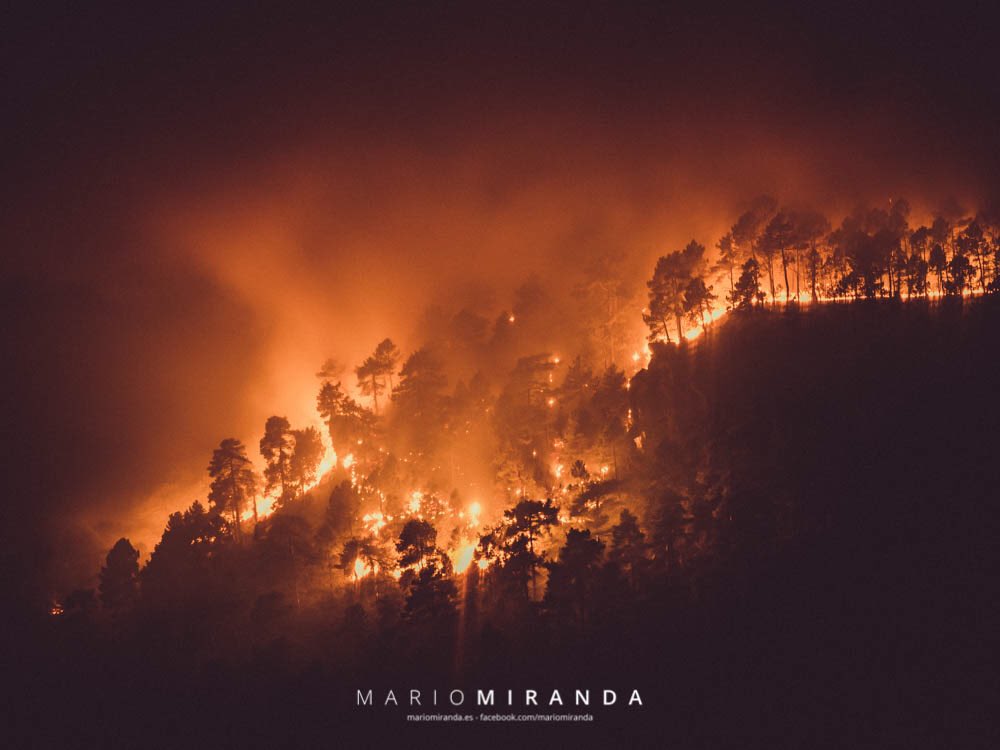 🔥 Se nos quema la #SierraDelSegura 🔥 #IFYeste 🔥 #IncendioYeste 🔥 #IncendioMolinicos 🔥 #IncendioRiopar 🔥 #RioMundo 🔥 #Albacete 🔥