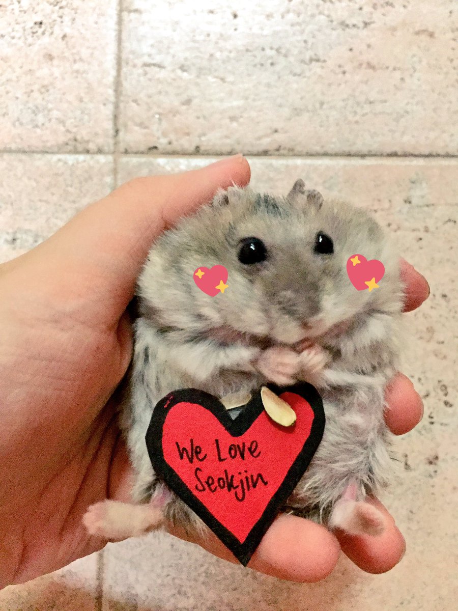 postgradksjin's tweet photo. My hamsters, Peachy and Daisy, approve of this message 🐹💕

'We Love Seokjin (김석진)' ♥️ #HeartsforJinDay https://t.co/CNGxmbeyMF