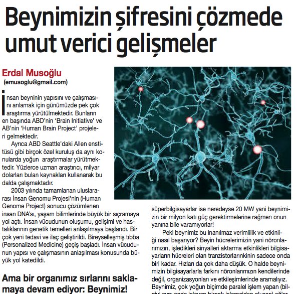 Elektro-kimyasal bir sistem olan beynimizin her parçası şaşırtıcı güçte bilgi işleme kapasitesine sahip.