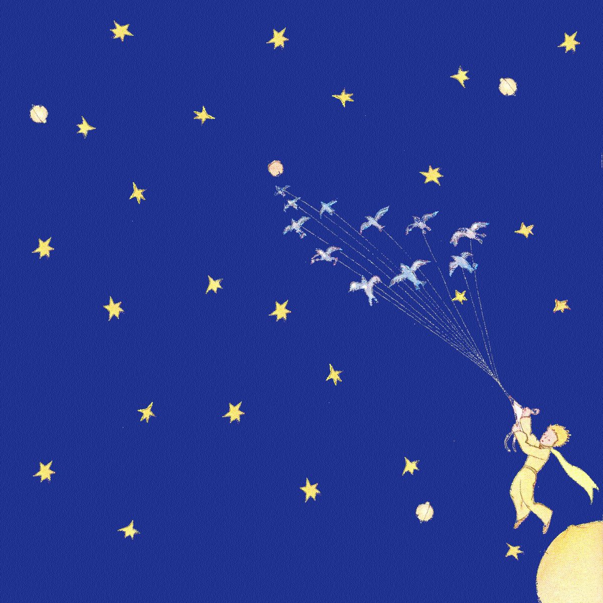 loliguerra's tweet photo. @gloriasanluis @LauraCampoJD @diario_mural @GraCorvalanSL @AmuraClaudia @SanLuisGob1 “Me pregunto si las estrellas se iluminan con el fin de que alg��n día, cada uno pueda encontrar la suya” ...#BuenLunes #FelizPrograma!!! https://t.co/mO5ElbK6J1