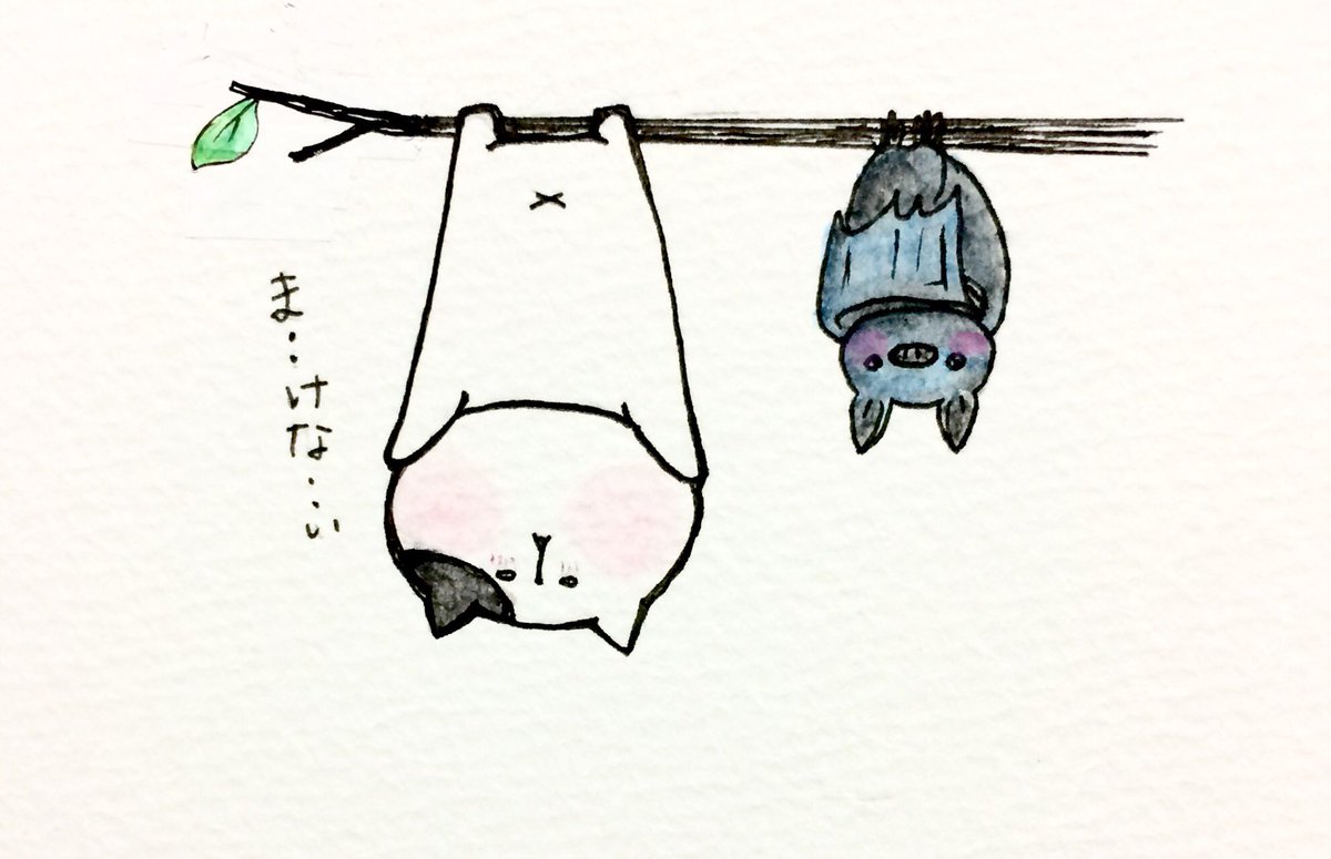 おこにゃん Sur Twitter まけない コウモリ 宙吊り 枝 まけない 猫 にゃんこ イラスト 可愛い 1日1絵 癒し 手描き 絵描きさんと繋がりたい 絵描き人 Followme Cats