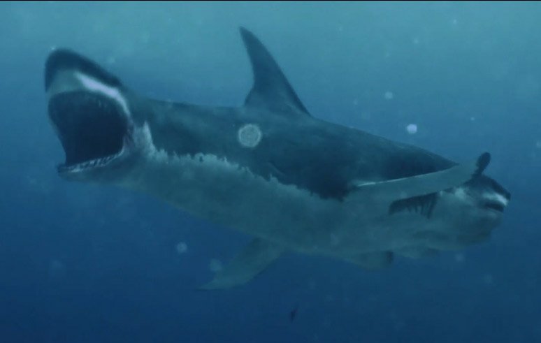 ファイブヘッド・ジョーズ」 