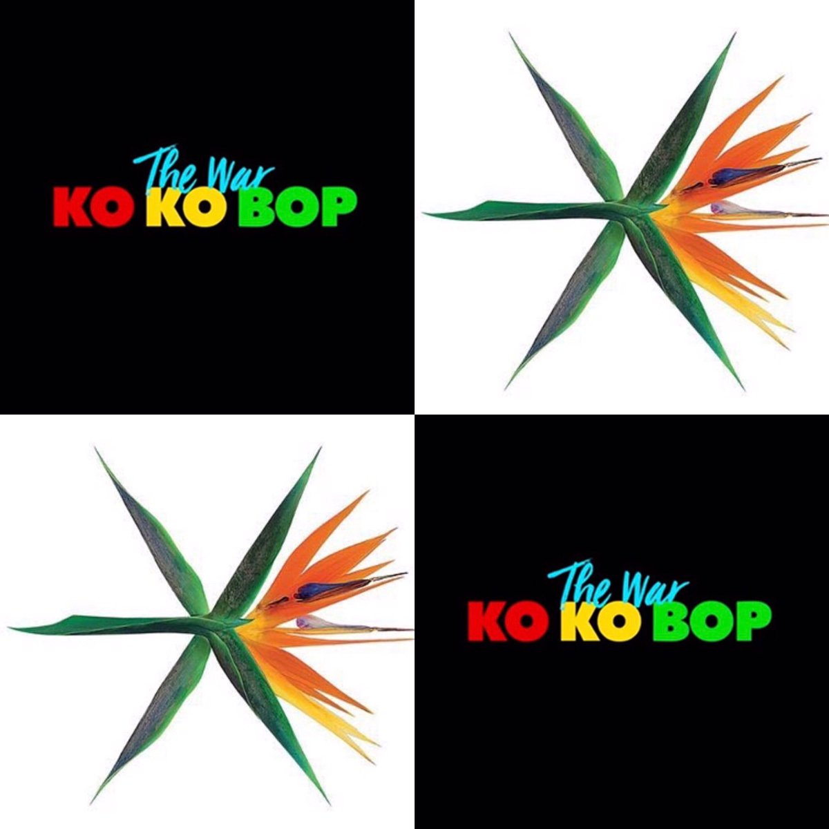 Marys_Corner's tweet photo. New batch of EXO The War arrived! All versions available..delivery will only take 1 day within UAE:) #thewar #exo #kokobop #theeve #exol https://t.co/E87F8DmfMX