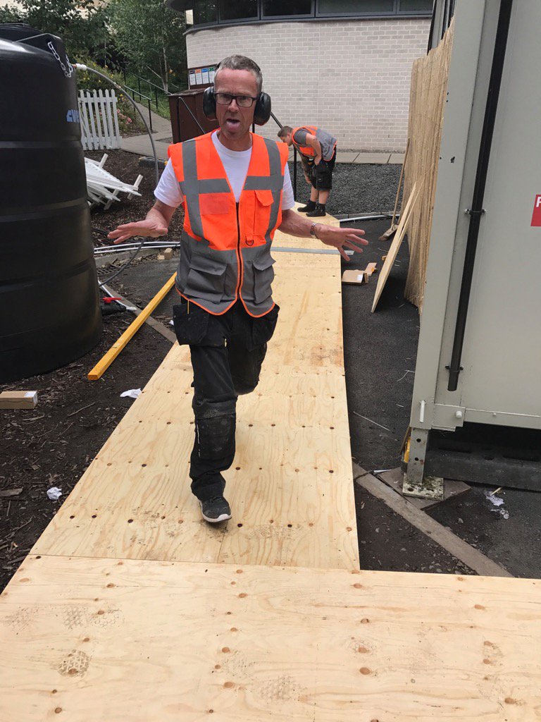 Markie, on his newly built personal cat walk