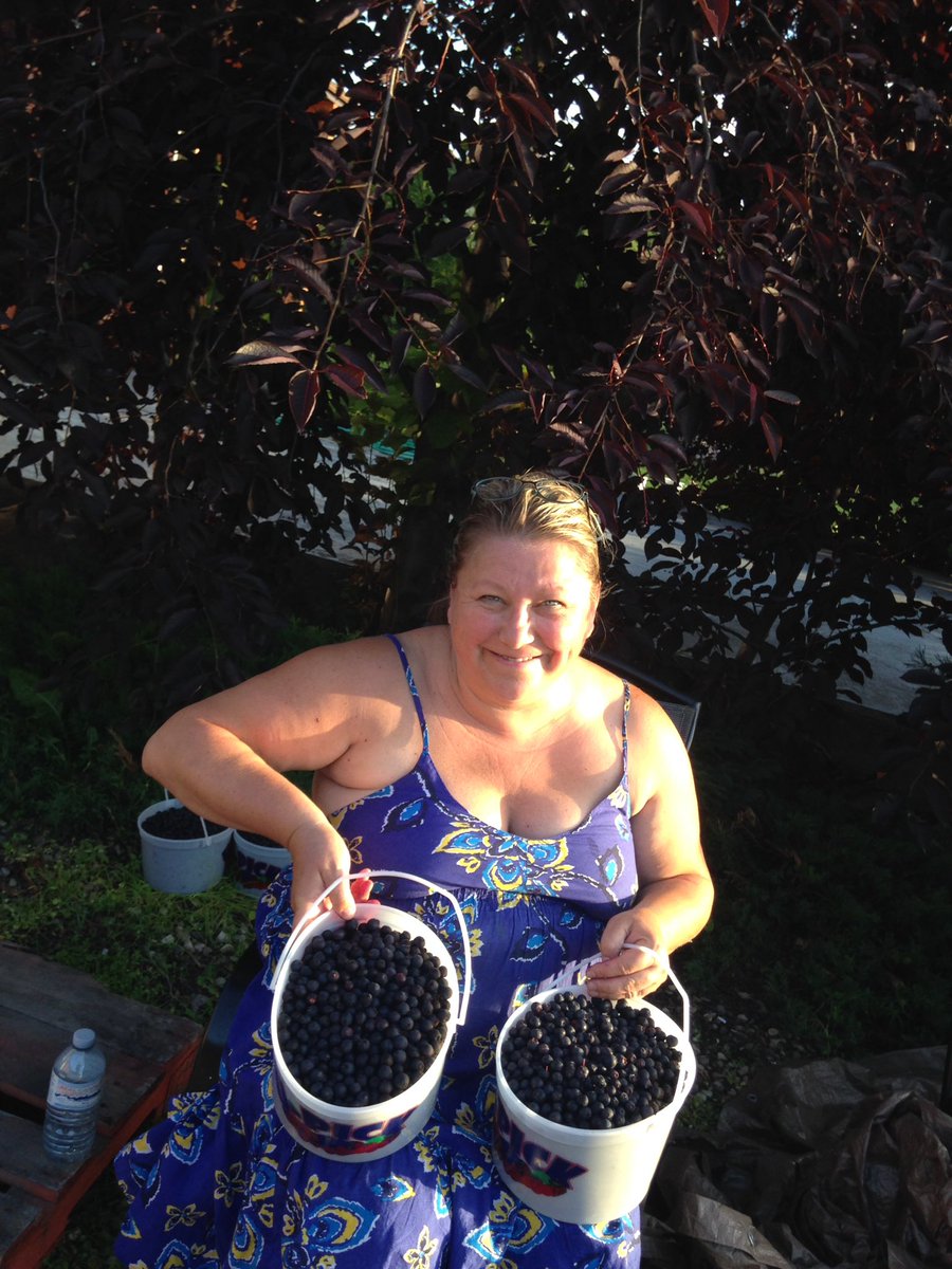 SaskatoonVille's tweet photo. Jennifer happy with her pickings! https://t.co/iS02J52SCt