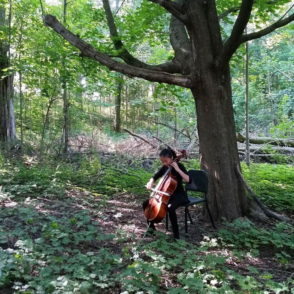 jknowlan's tweet photo. LOVE. #bachwalk #stratfordsummermusic #intheforest #soawesome #lovethis https://t.co/7KXCzPi1eQ https://t.co/IGPj1VJWMT