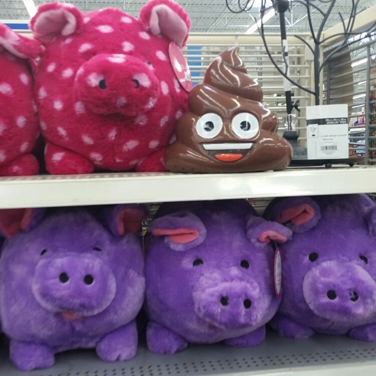 JayeSRose's tweet photo. Saw this at wally https://t.co/Xr6GC1pm1h