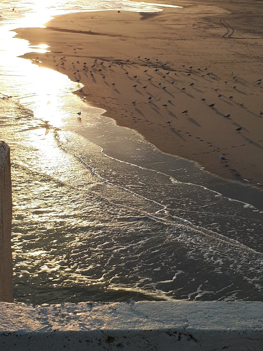 TTQuast's tweet photo. Spontan sind wir diese Nacht an die Belgische Nordsee gereist😍 #Blankenberge 
#WirHabenSieNichtMehrAlle😂 https://t.co/a3jGiepA2I