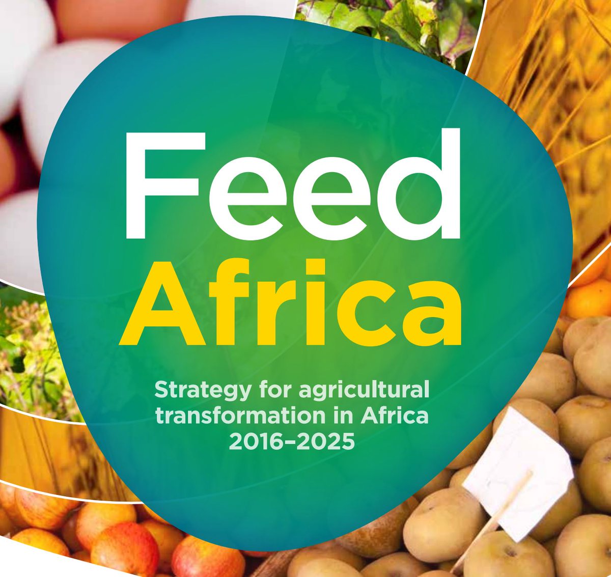 AfDB_Group's tweet image. The #AfDB will invest $24B in #agriculture in the next 10 years as part of its #FeedAfrica program bit.ly/2vaB54y #High5s #IITA50