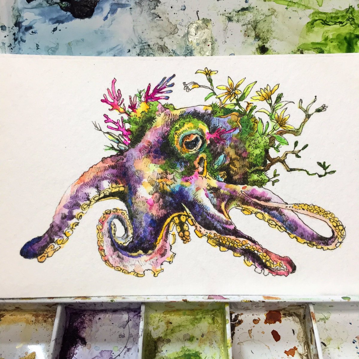 マツダケン　原画(タコ) マツダケン 原画(タコ) マツダケン 原画(タコ) マツダケン 作品展