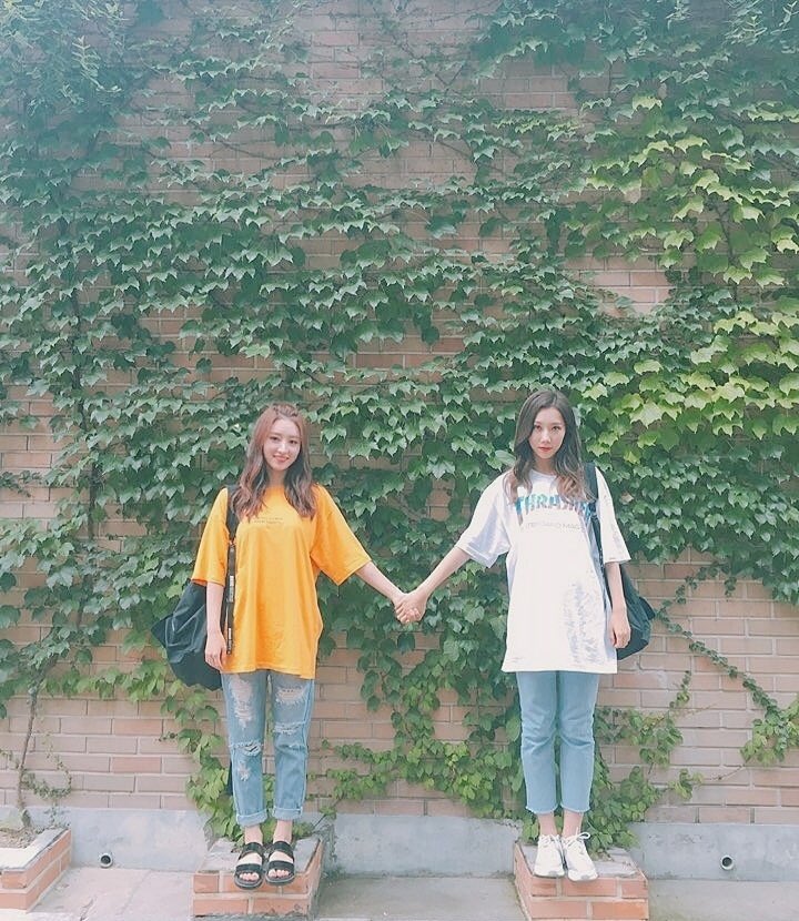 hf_dreamcatcher tweet picture