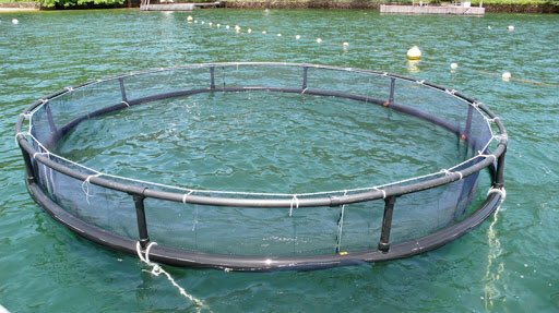 TargetEngenhari's tweet image. A Target Marine tem o melhor custo benefício nos seus projetos. comercial@targetengenharia.com