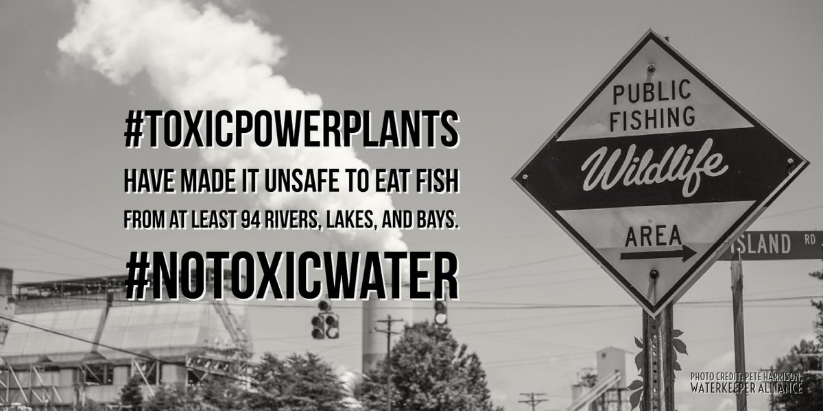 Coal plant wastewater has made it unsafe to eat fish from many of our nation’s rivers and lakes.#NoToxicWater cleanwater.org/stoppowerplant…