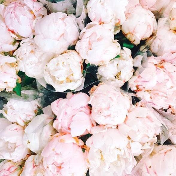 Have a beautiful Monday ! #MondayMotivation #HappyBirthdayHarryPotter #