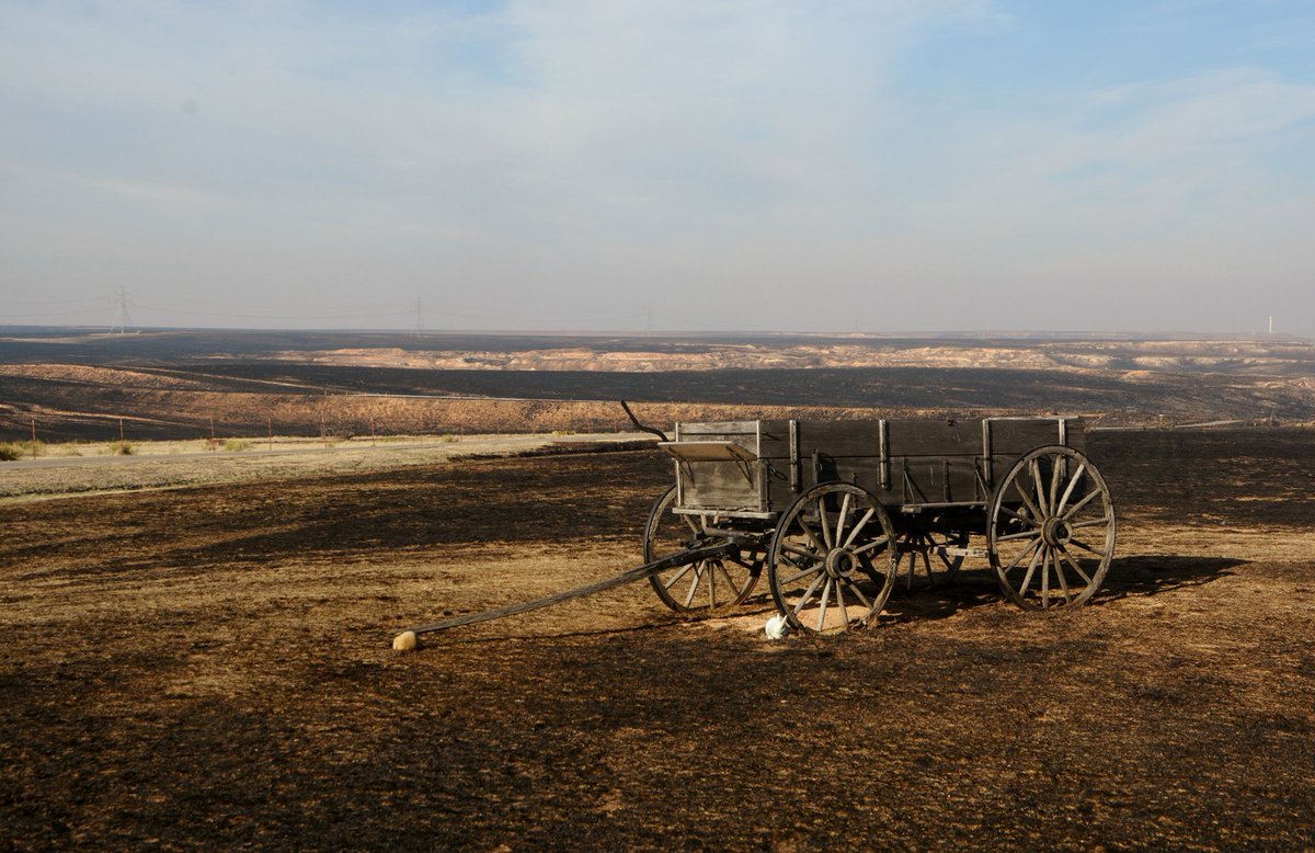 Wildfire recovery meetings - Aug. 3 in northeastern Texas #Panhandle, via @AgriLifeTODAY: buff.ly/2uGkLHA #ag #panhandlewildfires