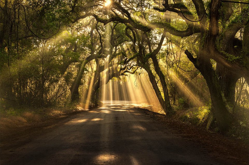 debbymidtown's tweet photo. A new day. A new week. Another chance!

Make it count!! ☀️🌳 https://t.co/iOC5Cmg0VZ