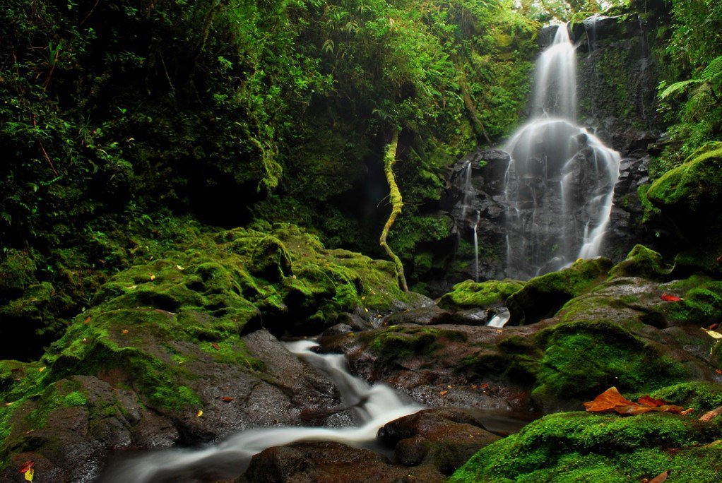 BenmaGroup's tweet photo. #CostaRicaMondays ¡Traducciones y paisajes de este hermoso país! #BenmaGroup #traducción #CostaRica #xl8 #T9n #xl8r #t8r #1nt #G11n #L10n https://t.co/JTjAFivhqF