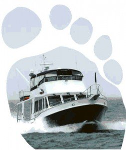 NeptuneYachts's tweet photo. Boaters can reduce our carbon footprints. #GreenBoating  https://t.co/wDj5BVmmHM @boatingtimesli https://t.co/5gfAGcUfJl