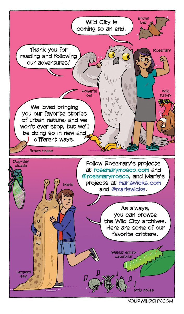 Big news: Wild City is coming to an end. Farewell and thanks for all the slug mucus! As always, browse archives at yourwildcity.com.