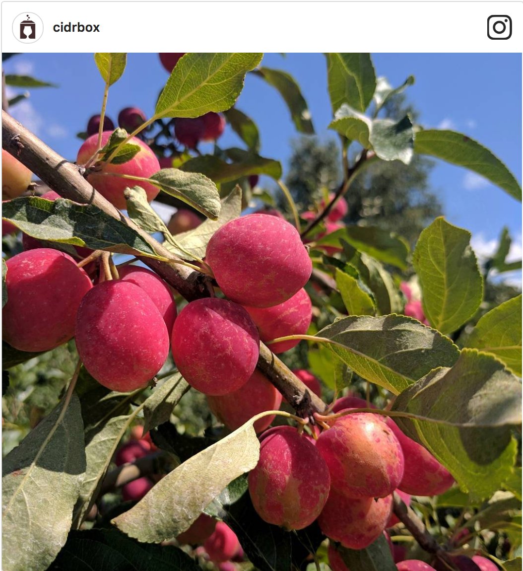 cidrbox.us ๐ (@cidrbox) on Twitter photo Excited to share <a href="/Primacider/">Primacider</a> in our August <a href="/cidrbox/">cidrbox.us ๐</a>: learn more about this small batch orchard cidermaker cidrbox.com/meet_the_ciderโฆ Excited to share <a href="/Primacider/">Primacider</a> in our August <a href="/cidrbox/">cidrbox.us ๐</a>: learn more about this small batch orchard cidermaker cidrbox.com/meet_the_ciderโฆ