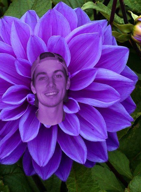 CollinIsFlower's tweet image. 