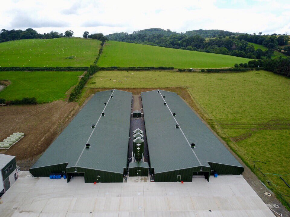 Brian Moxon tweet media