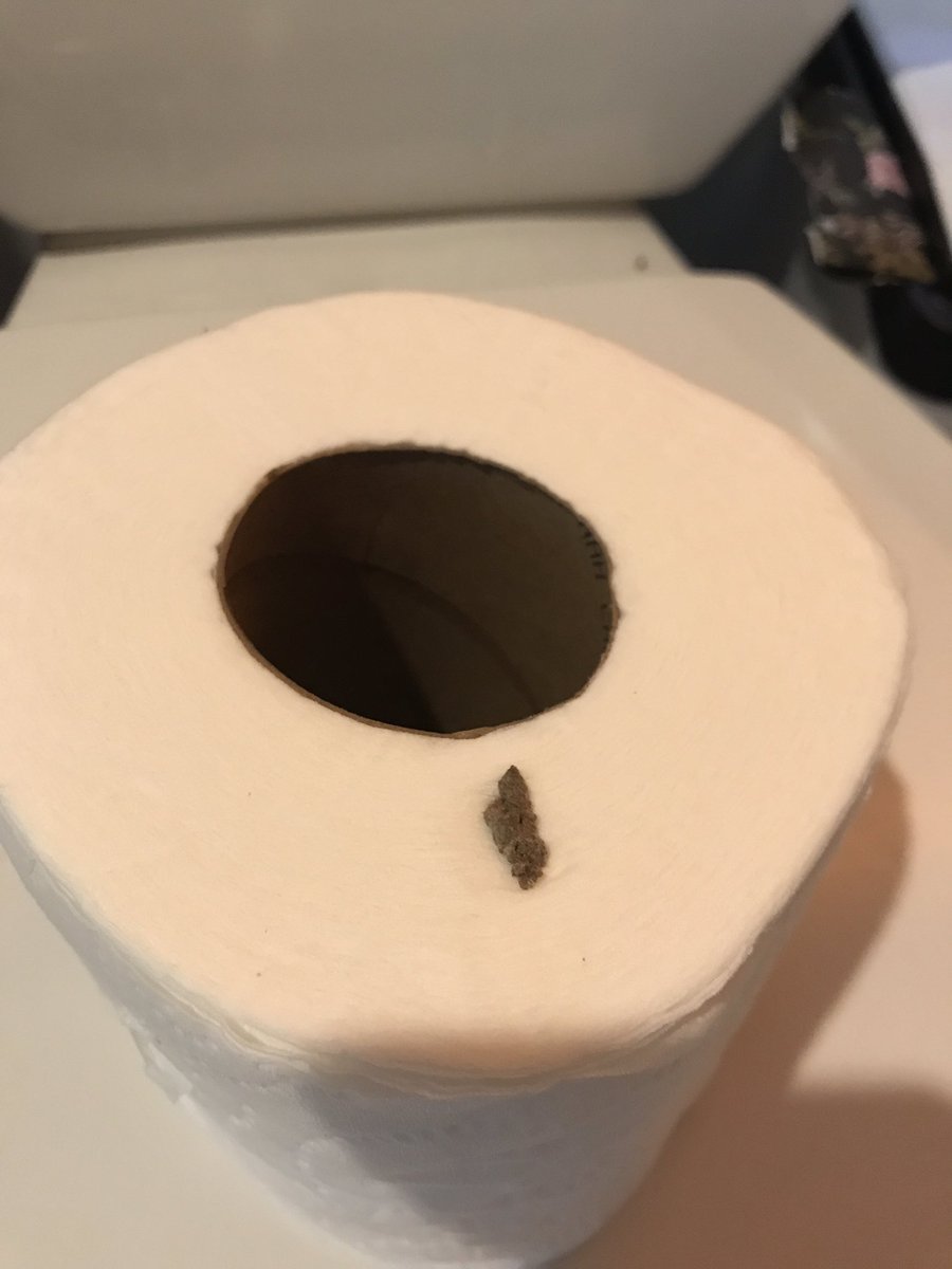 iamtherealeric's tweet photo. @AngelSoft opened up your TP today and found Rat Feces on it. #PrePoopedTP https://t.co/BQKSXnKGt7
