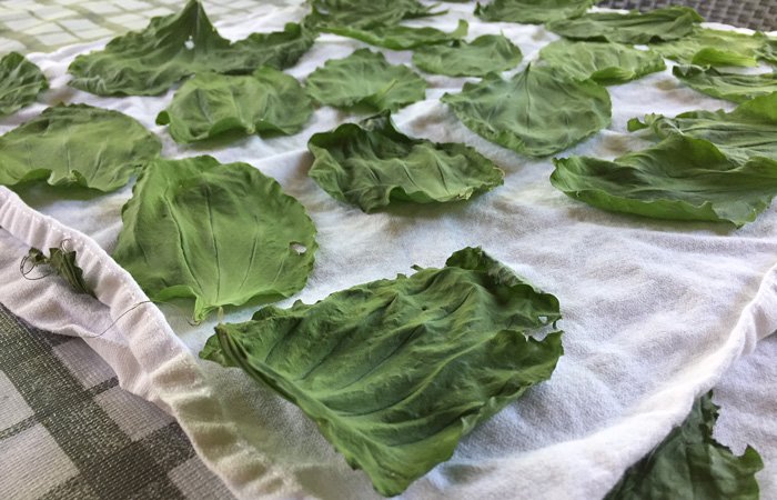 Dadding_us's tweet image. NEW: Lessons in dadding: Kids know more than you think (bee-sting edition) bit.ly/2uck5WX  #dads #parenting #mondaymotivation