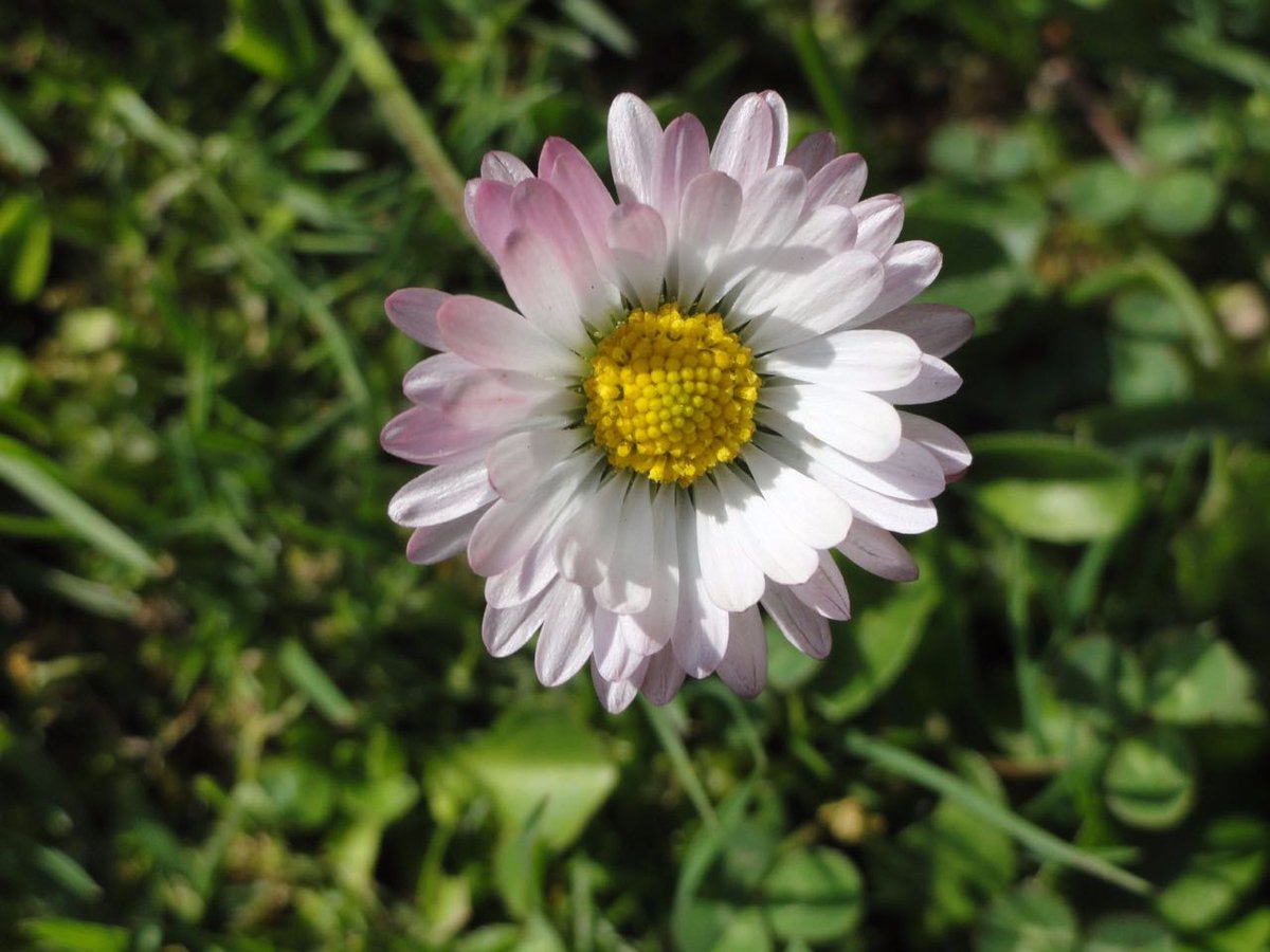 abhishek_s_iyer's tweet image. #ShotOnOnePlus #OnePlus5 @oneplus #oneplustech 
P.c Naman Dhingra