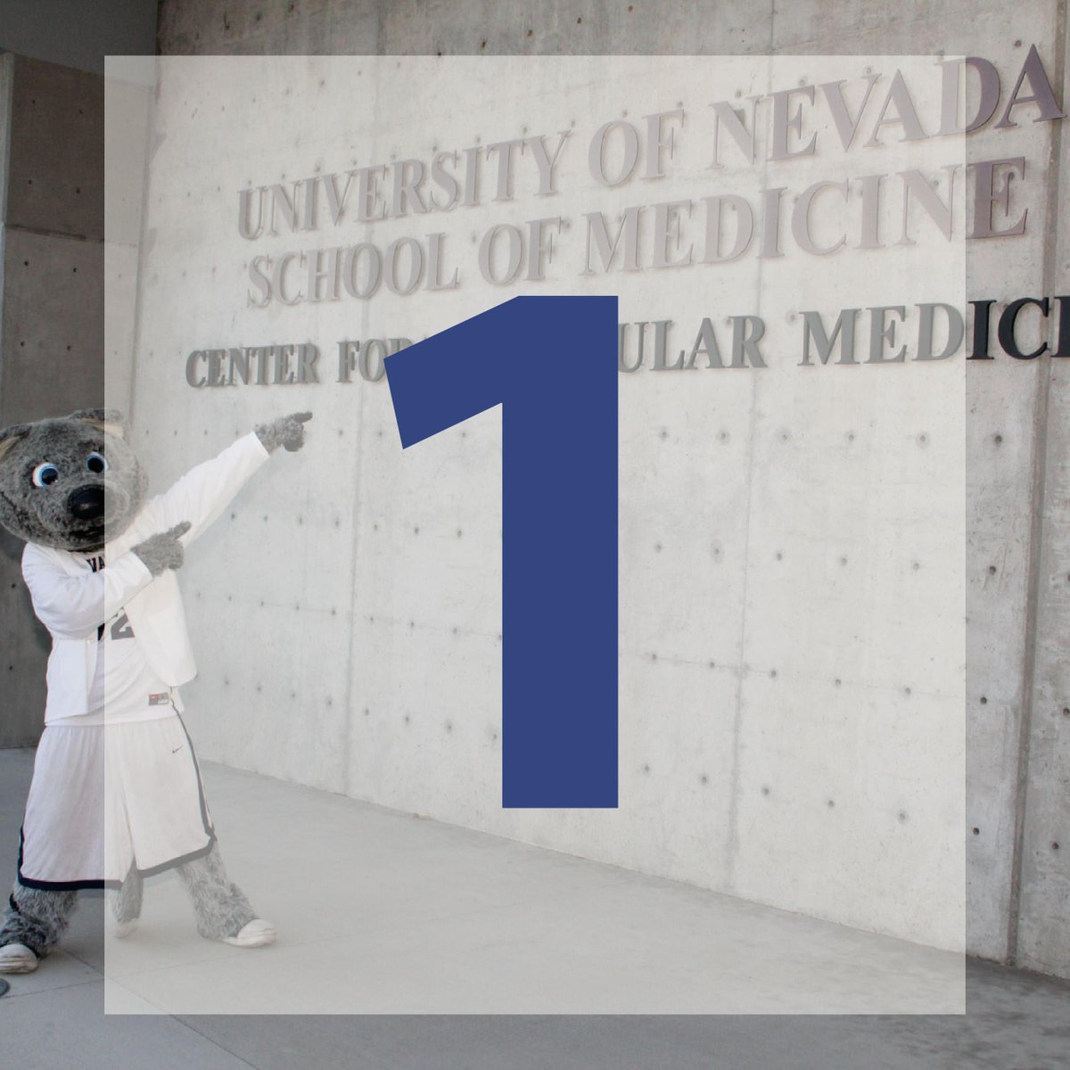 unrmed's tweet image. Less than 10% of people fit to give blood do so annually. Let's do our part for #AHealthyNevada! #PositvelyUNRMed bit.ly/2eRNt2Q