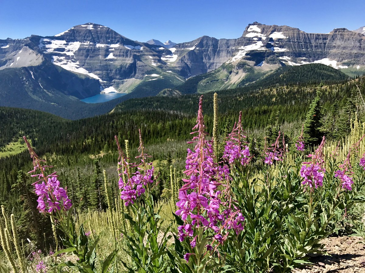 DP_Holloway's tweet photo. Enjoying the stunning sights of the Rockies. #Carthew-Alderson trail. #Waterton #Hiking #MicroAdventure @watertowntab https://t.co/HnFd7HSxz8