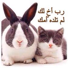 Abdul_Hardware's tweet photo. #يوم_الصداقه_العالمي رب أخ لك لم تلده أمك https://t.co/7E79tH71Zf