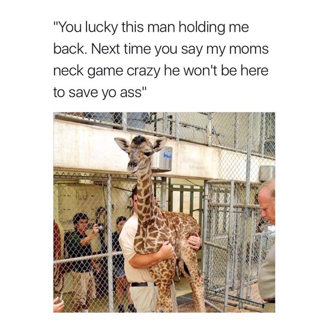BuyLegalMedsCo's tweet photo. Who did this 😂💀 https://t.co/Gxk58hL1uo