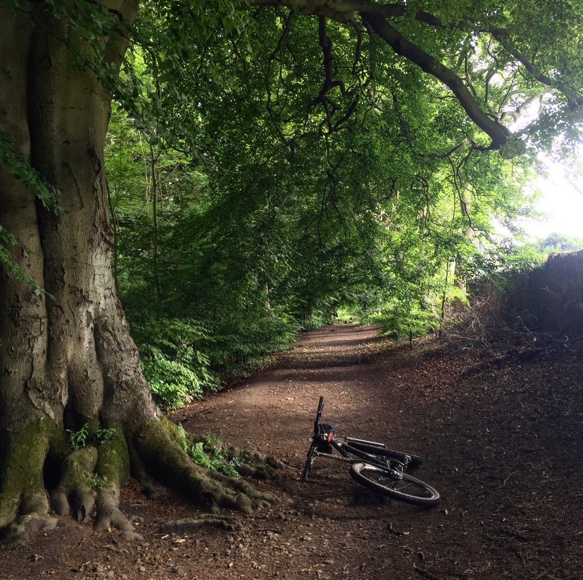 bikepackingscot's tweet photo. New section for Capital Trail in 2018. Less tarmac. Register 4 our newsletter 2 b 1st 2 know when registration opens https://t.co/UYMe4E0YXP https://t.co/KizjQ81do6