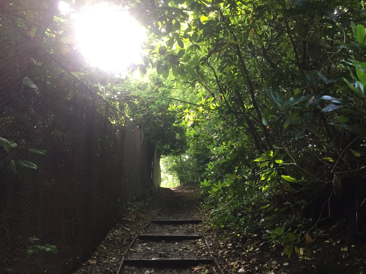 bikepackingscot's tweet photo. New section for Capital Trail in 2018. Less tarmac. Register 4 our newsletter 2 b 1st 2 know when registration opens https://t.co/UYMe4E0YXP https://t.co/KizjQ81do6