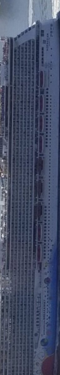 MylesKellock's tweet photo. Cruises are horizontal water skyscrapers https://t.co/dwnpWJLm7L