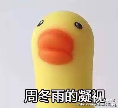 이름 : 周冬雨 (주동우, 저우동위) 생년월일 : 1992년 1월 31일 데뷔 : 2010년 영화 <산사나무 아래> 2017년 현재 다양한 작품활동을 하고 있다. 2016년...