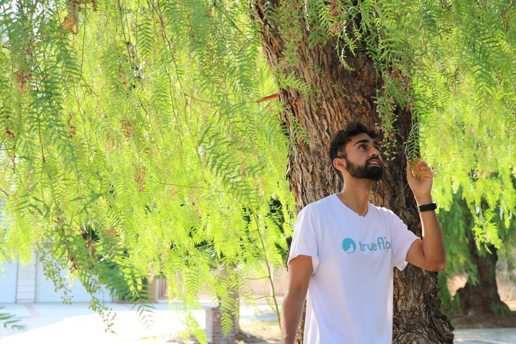 TrueFlipApp's tweet image. Using TrueFlip feels so natural.