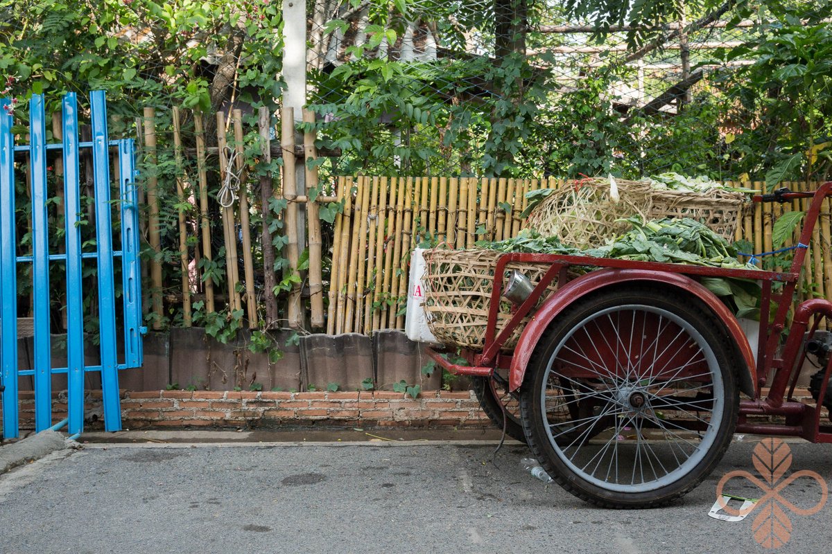 DSILCourse's tweet image. And that’s it! We are no longer able to accept #DSIL2017 applications. We’d like to thank you tremendously for your submissions.