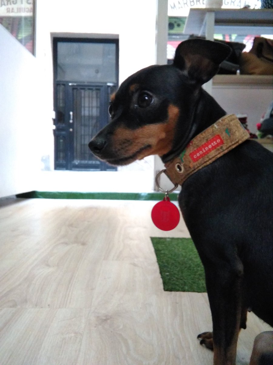 Donde estan los papeles ?