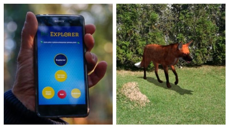 conexaoplaneta's tweet photo. Aplicativo #BioExplorer, inspirado em Pokémon GO, estimula jovens a interagir e conhecer melhor animais do Brasil https://t.co/S4udKYryQD https://t.co/LT7TZ86eMq