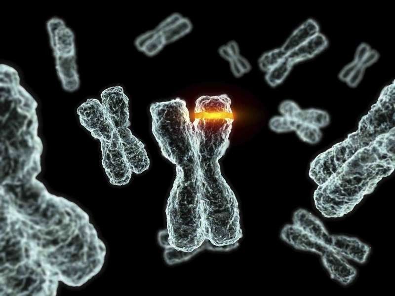 TheDavidRives's tweet photo. Can Mutations Make New Things? - read this easy-to-understand article by Cheri Fields #DNAmutation 
https://t.co/zwG4z4RGcW https://t.co/HjbZjg7nT7