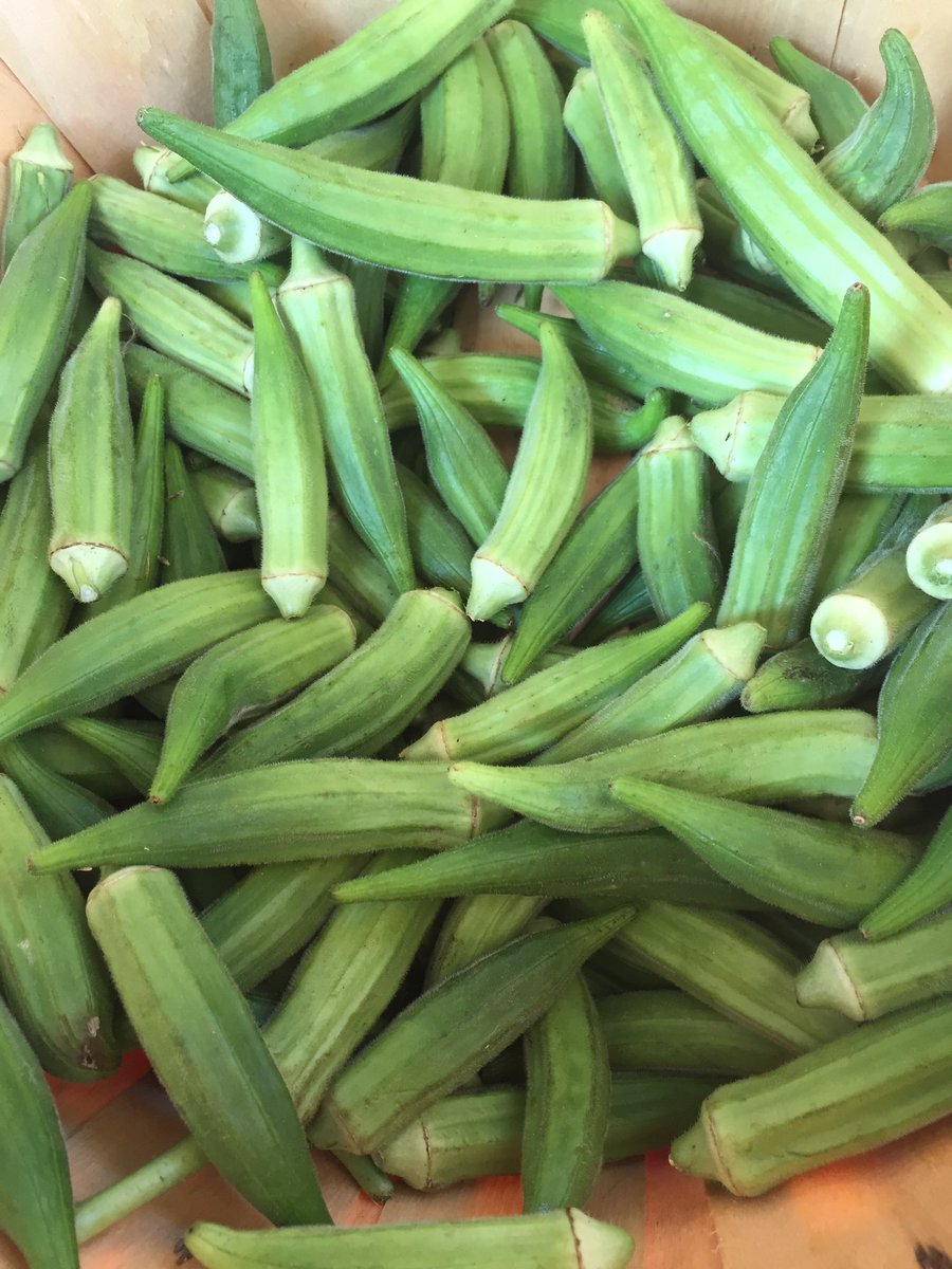 Come check out the Selmer Farmers Market Tuesday morning! #MeetMcNairy <a href="/townofselmer/">Town of Selmer</a>