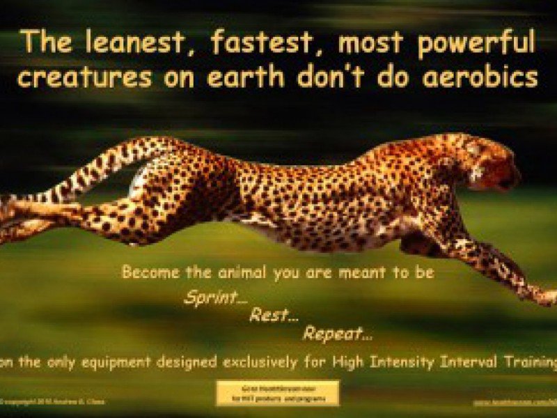 WIP- Now send us either your Age or known Heart Max for a Personalized HIIT Exercise Script - 2 or 3 digits to a happier healthier life!