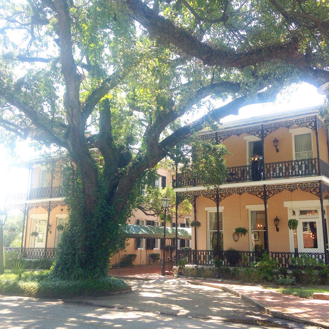 TropicHolly's tweet photo. Downtown Mobile is great for walking. @TweetHomeAla #AC2C #familytravel https://t.co/djqzZ20xtk