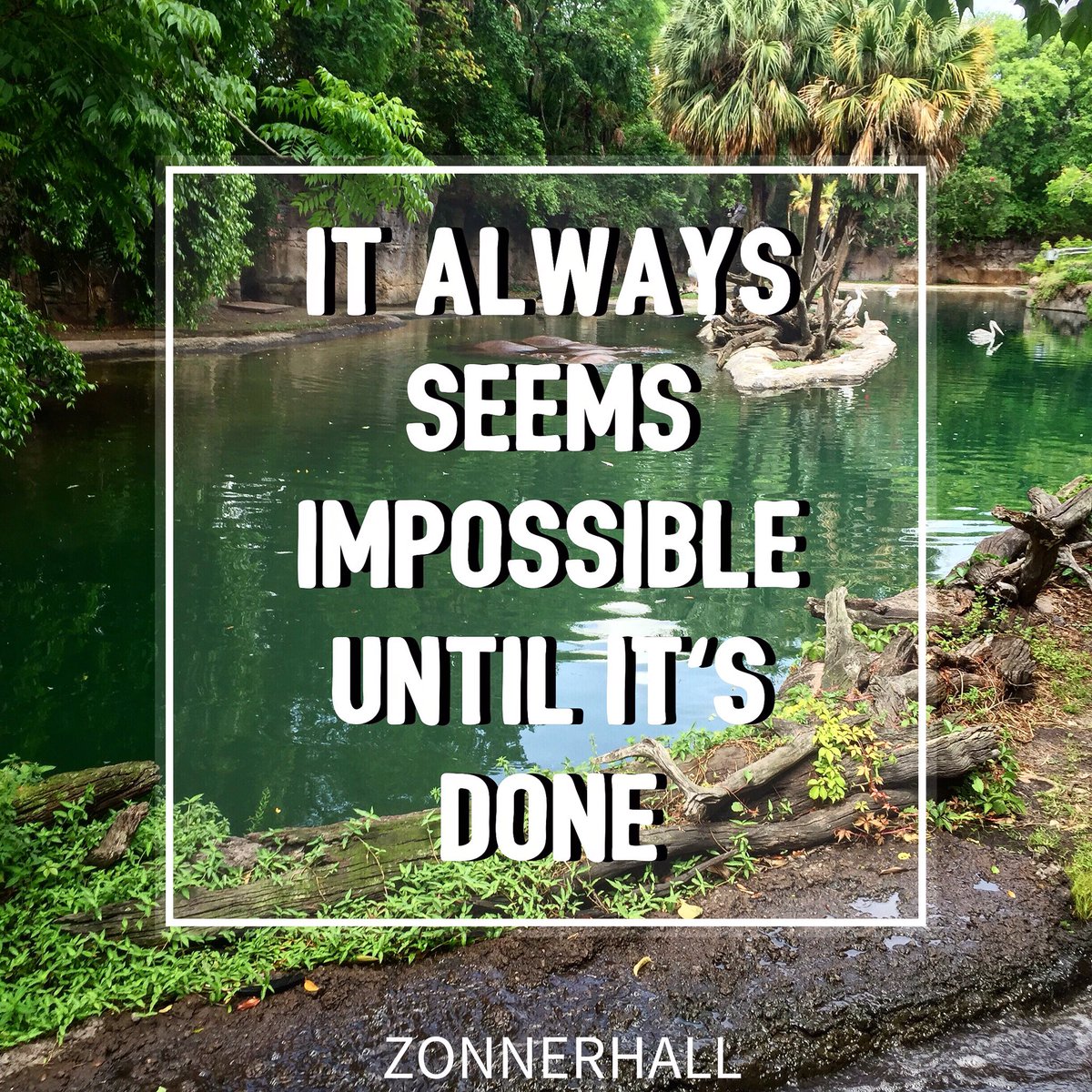 Zonnerhall's tweet photo. Turn those can'ts into cans and and your dreams into plans! #monday #motivation #quotes #inspiration #success #zonnerhall https://t.co/VUVwlAFdJv