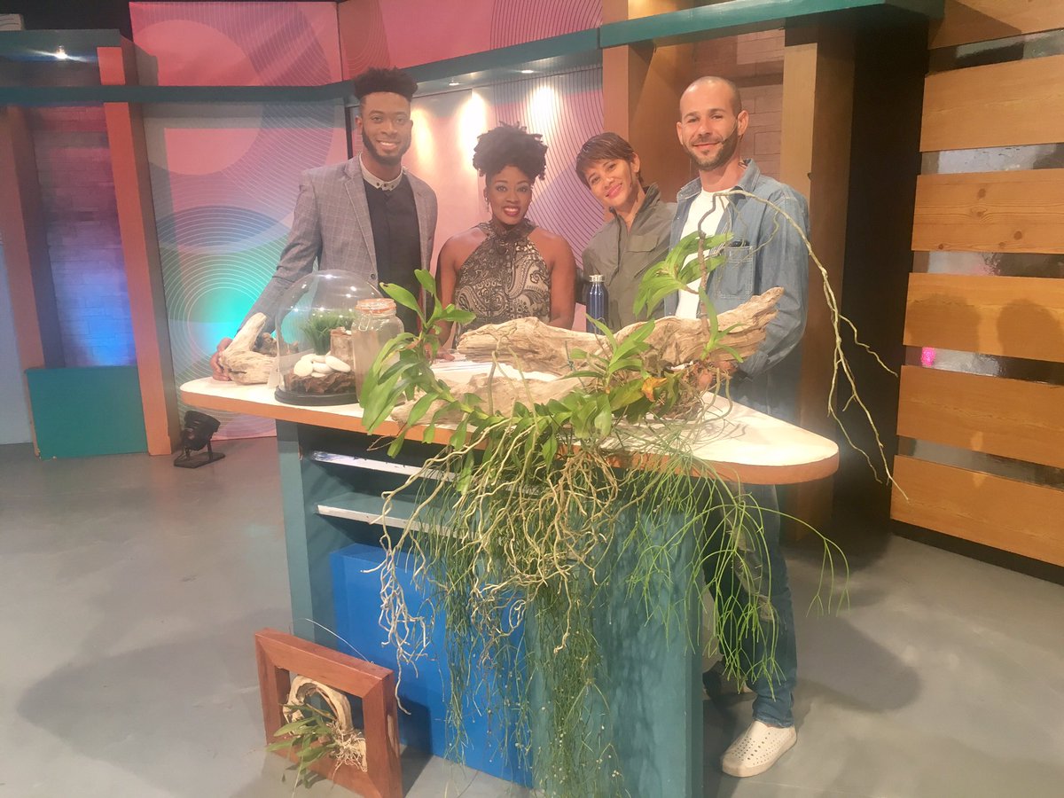 tvj_daytimelive's tweet photo. Coming up on #daytimeLIVE @PlantJamaica & for #daytimeCHAT we talk about moving out from your parents!
Tune in @ 1.05pm on @televisionjam https://t.co/WYNtHoWRzs