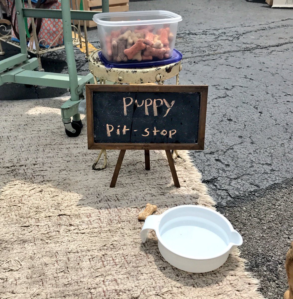 Kirsten_AD's tweet photo. Cutest thing ever at the @randolphmarket 🐾 #PuppyPitStop #WestLoopIsTheBestLoop https://t.co/Eh9XFotiUk