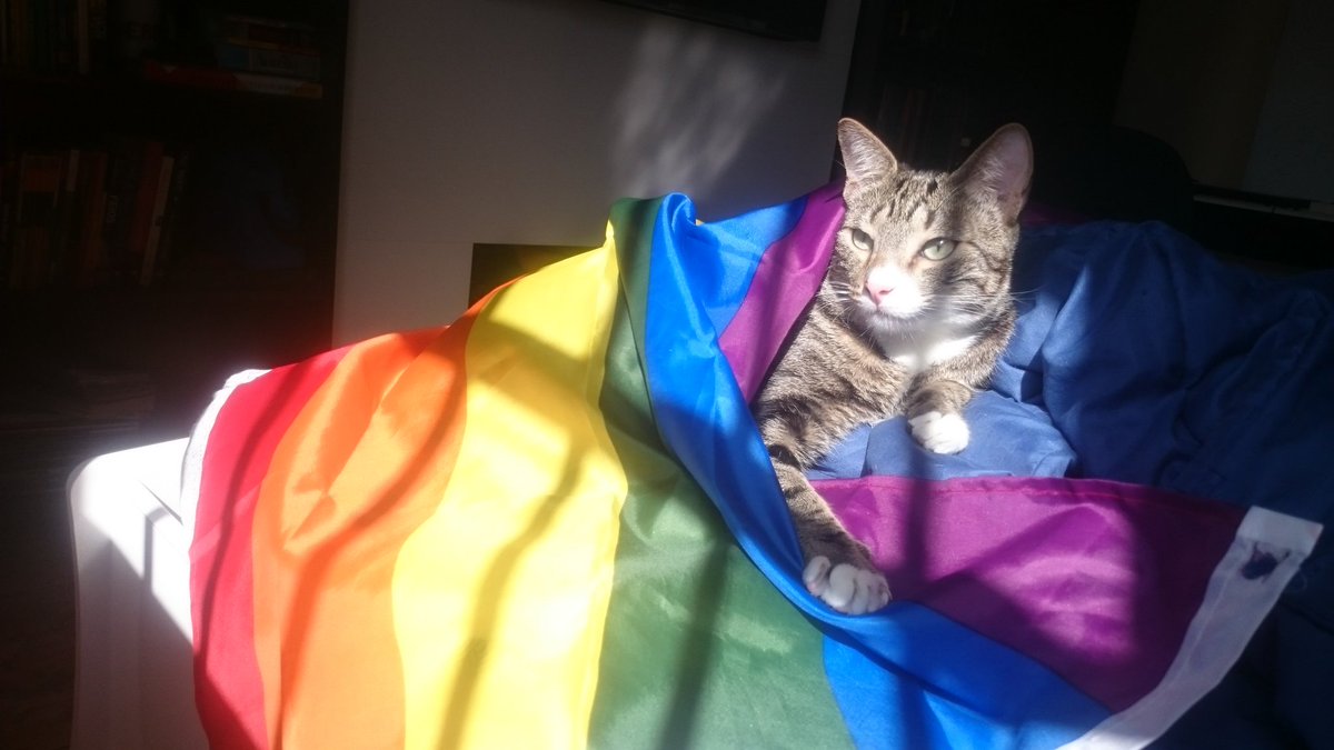kpopiando's tweet photo. Isso foi pra um challenge mas achei as fotos tão bonitas que vou postar aqui também ~
#petsforpride #LGBTQ https://t.co/tiKLcV6Q03