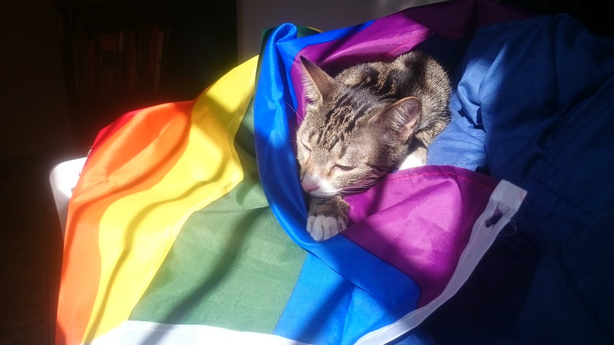 kpopiando's tweet photo. Isso foi pra um challenge mas achei as fotos tão bonitas que vou postar aqui também ~
#petsforpride #LGBTQ https://t.co/tiKLcV6Q03